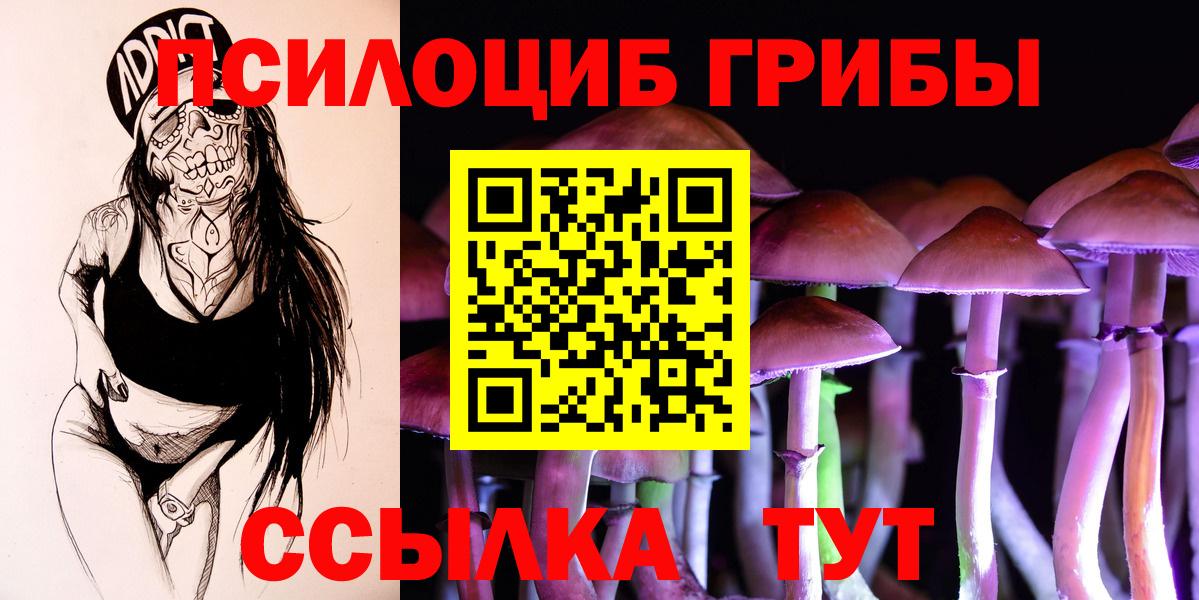 Псилоцибиновые грибы мицелий Строитель
